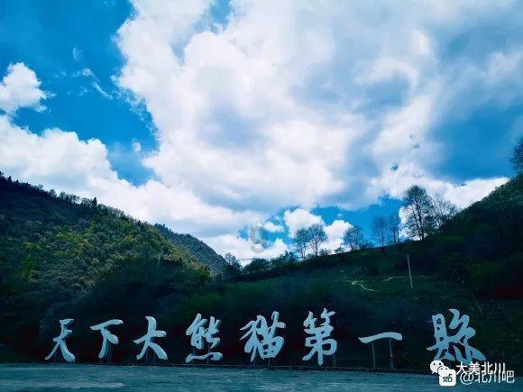 小矮怪挖金矿