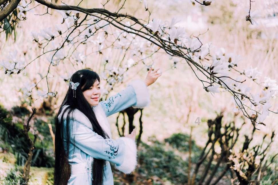网游之大神莫挡路
