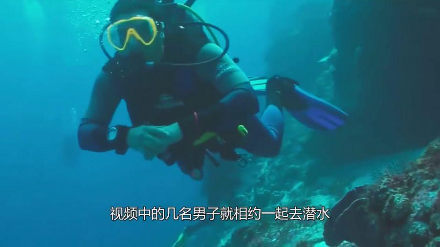 今夜百乐门丨金星欧弟小品《销售达人》台词