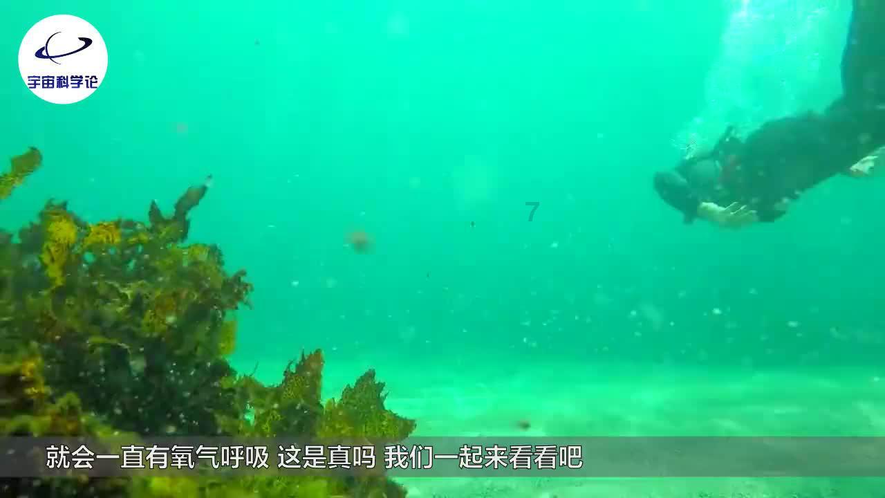 又一动漫定档，2月28日开播，题材和主角已定，但网友却不买账