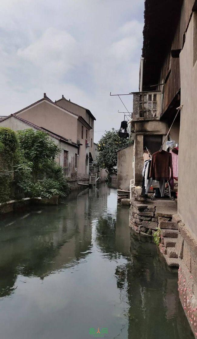 僵尸敲方块